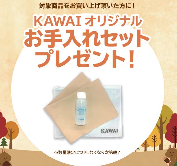 《対象商品》<br />
SCA401、CN201<br />
<br />
【プレゼント】<br />
お手入れセット