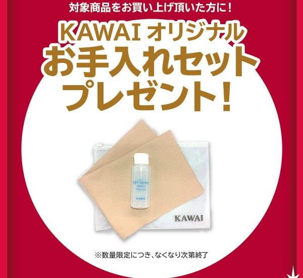 《対象商品》<br />
SCA401、CN201<br />
<br />
【プレゼント】<br />
お手入れセット