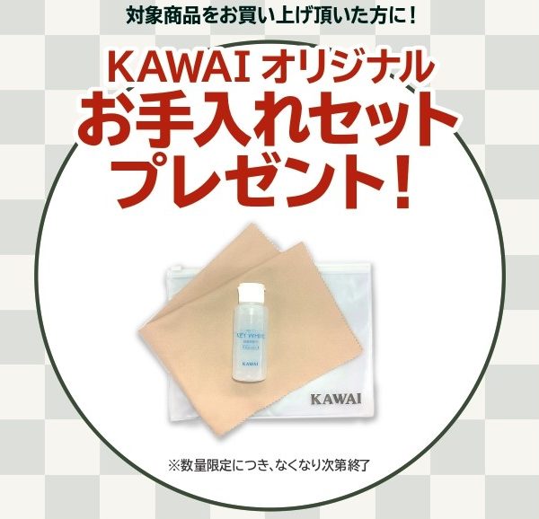 《対象商品》<br />
SCA401、CN201<br />
<br />
【プレゼント】<br />
お手入れセット