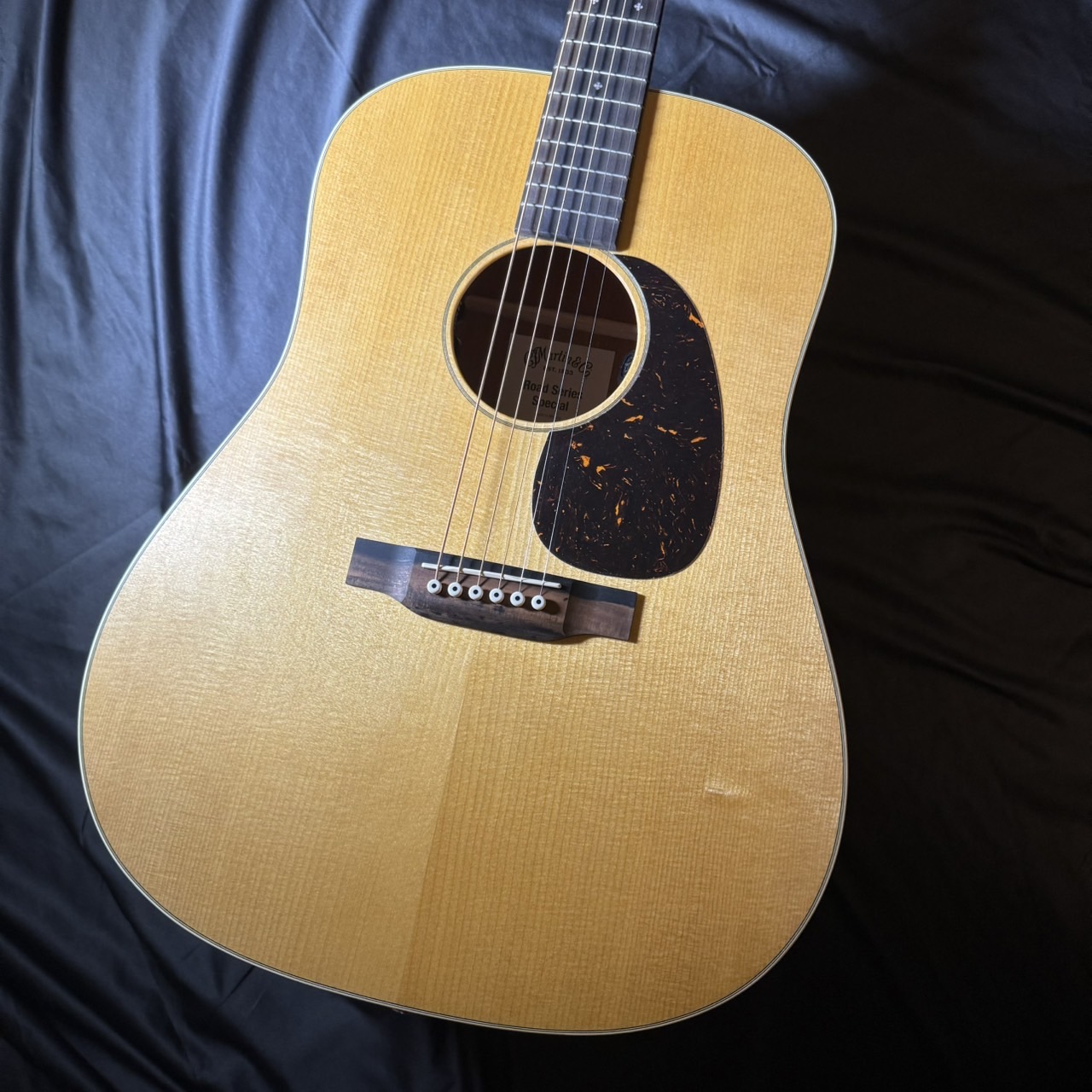 アコースティックギター ≪特別仕様≫D-10E Vintage‐inspired Road Series