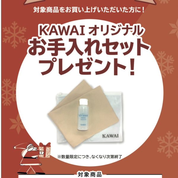 《対象商品》<br />
SCA401、CN201<br />
<br />
【プレゼント】<br />
お手入れセット