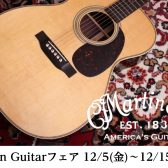 【マーチンフェア2025】憧れのあのアコースティックギター≪Martin≫