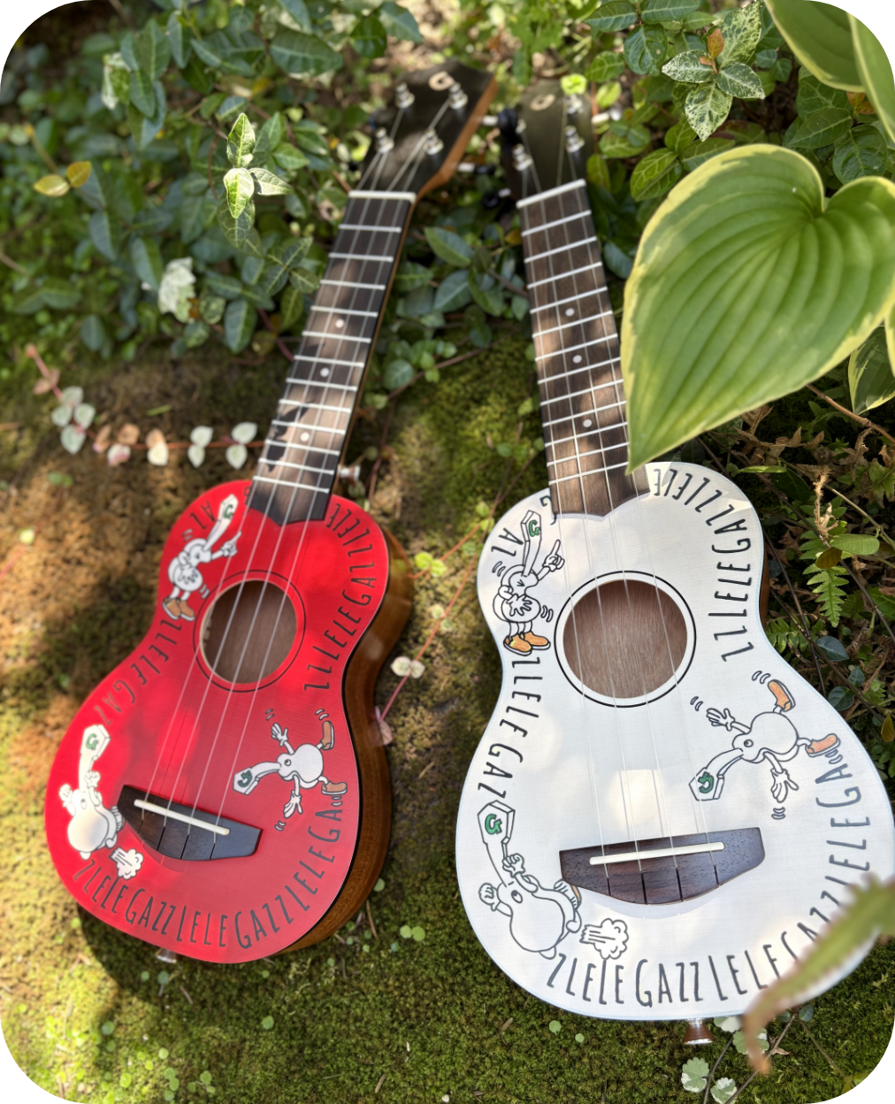 “コロコロ”と明るいサウンドが特長のウクレレ！COLORLELE　コロレレ