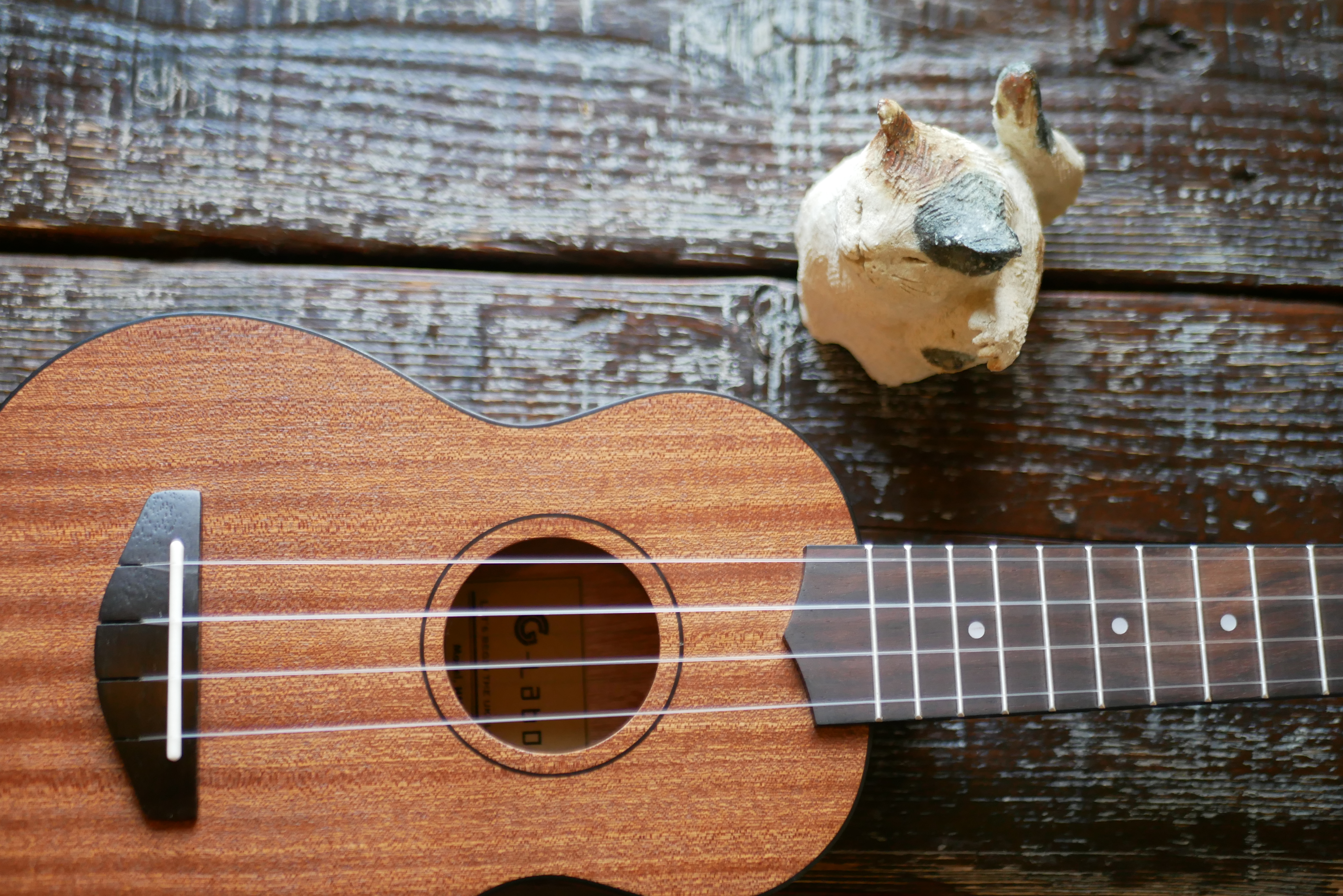 ガズのはじめてウクレレ！HM-1S（ソプラノ） HM-1C(コンサート)