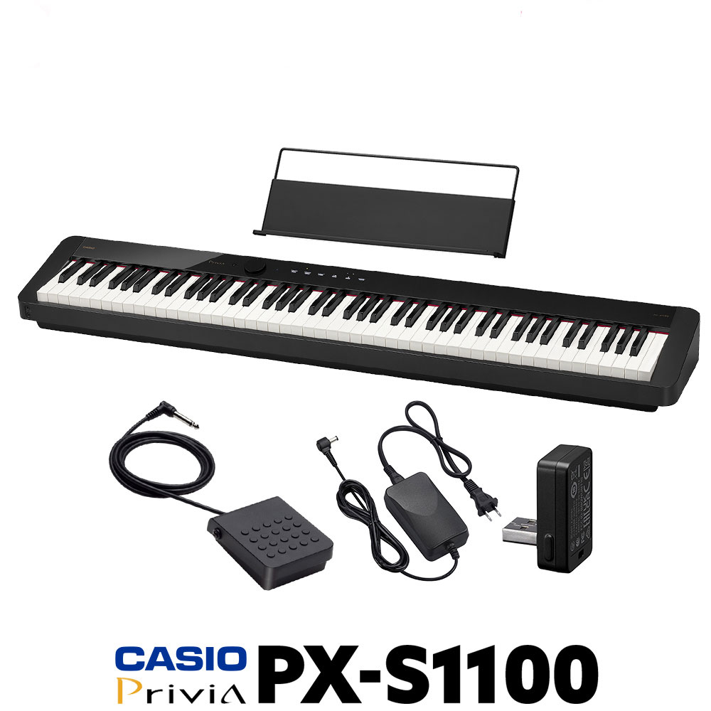 CASIOPX-S1100