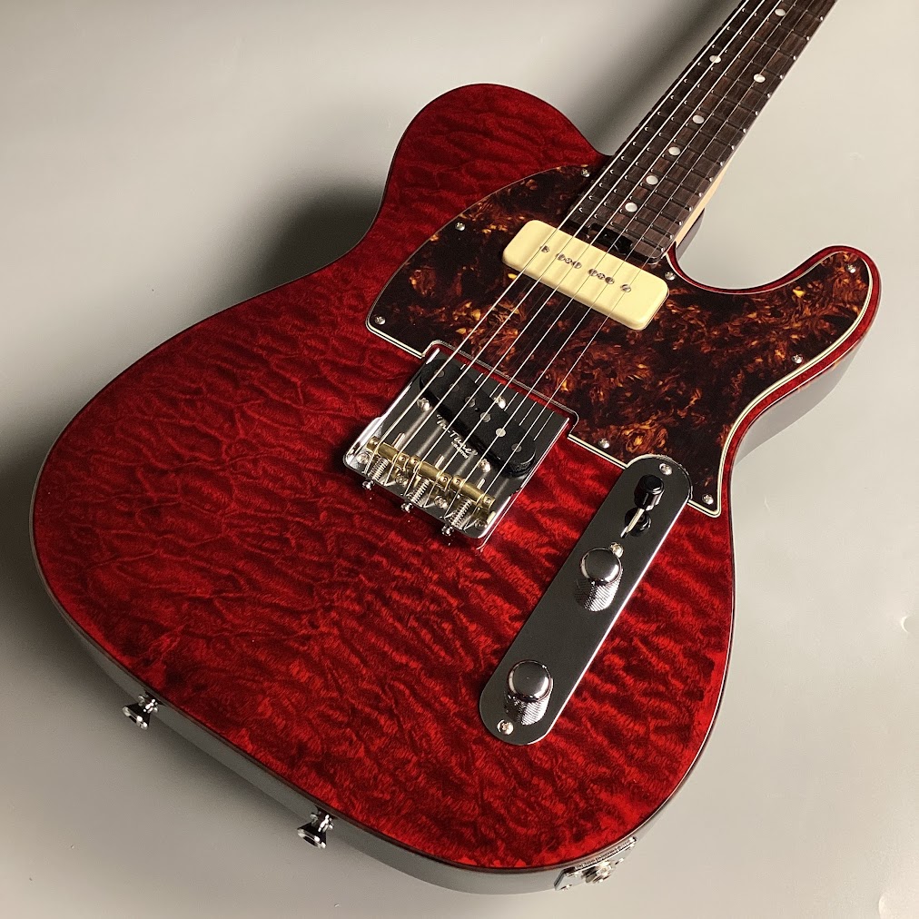 福岡ギターショー特別オーダーモデルSCHECTER PS-PT-MH-P90
