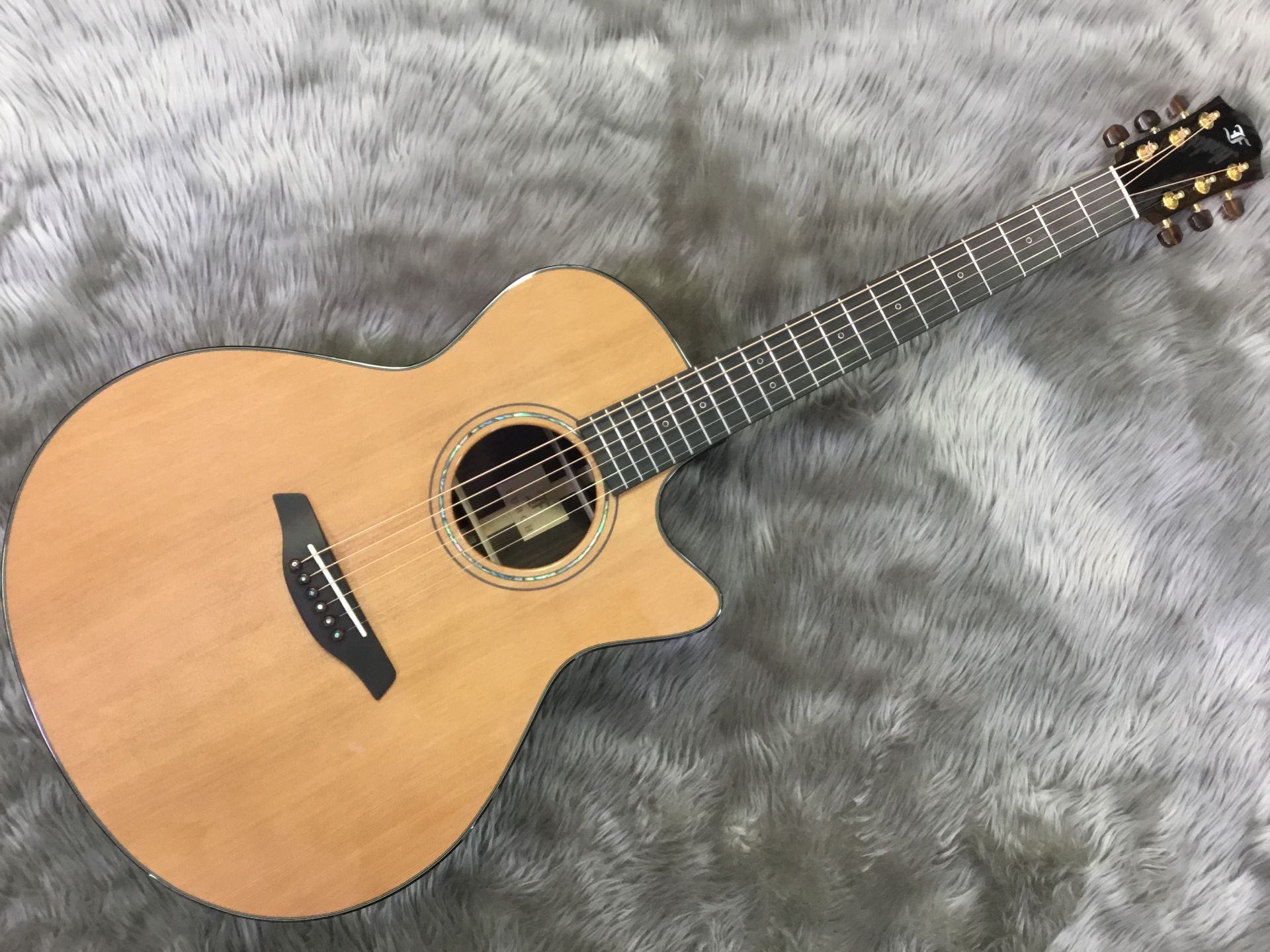 【アコースティックギター】Furch – Yellow Gc-CR