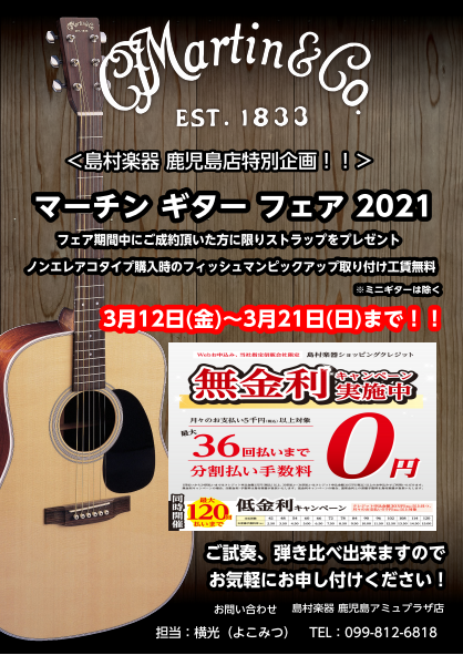 Martin D-16E Mahogany 2021年購入 マーチン エレアコ