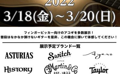 【アコースティックギター】フィンガーピッキングスタイルアコースティックギターフェア開催‼2022年3月18日(金)～20日(日)まで