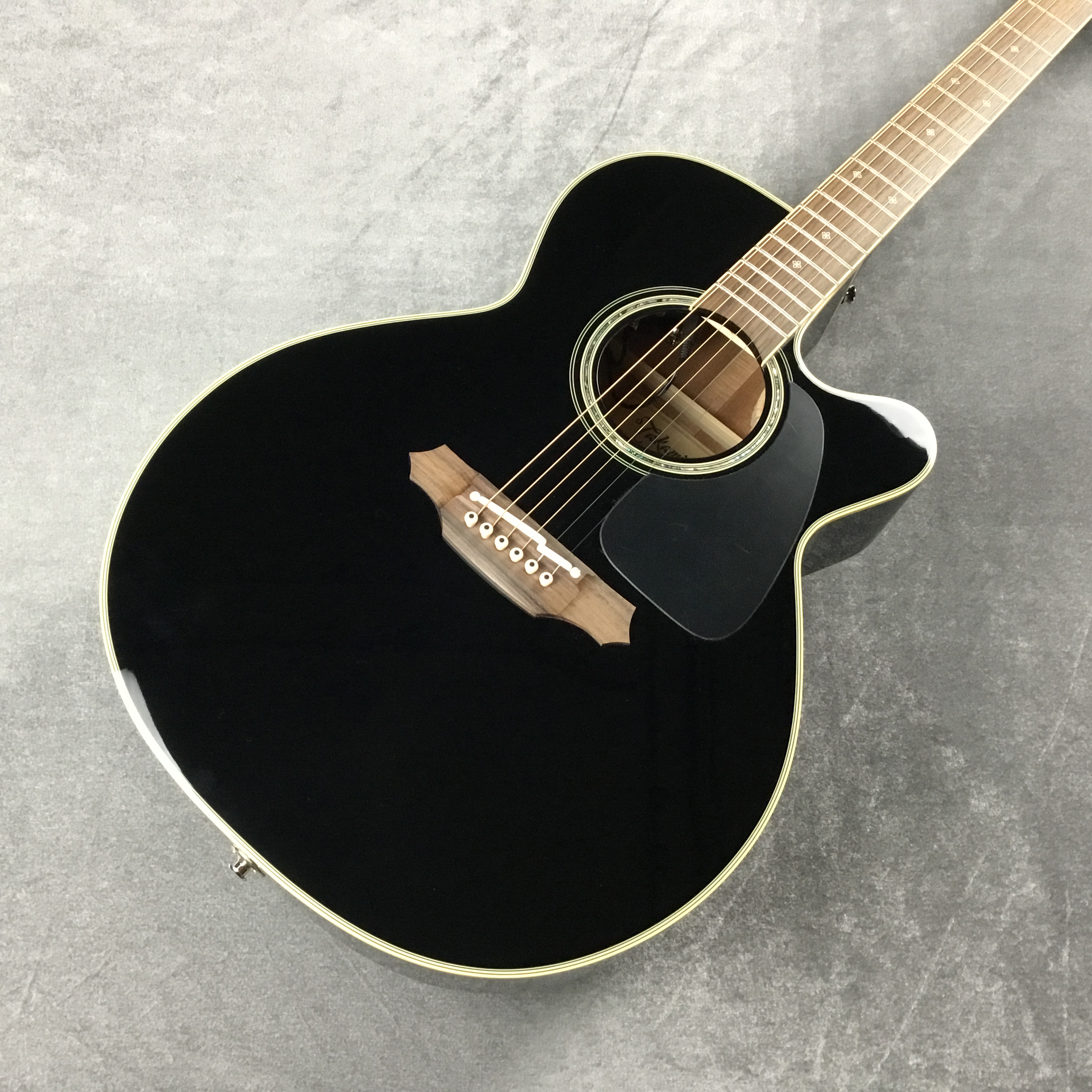 エレアコギターTakamine/TDP561C