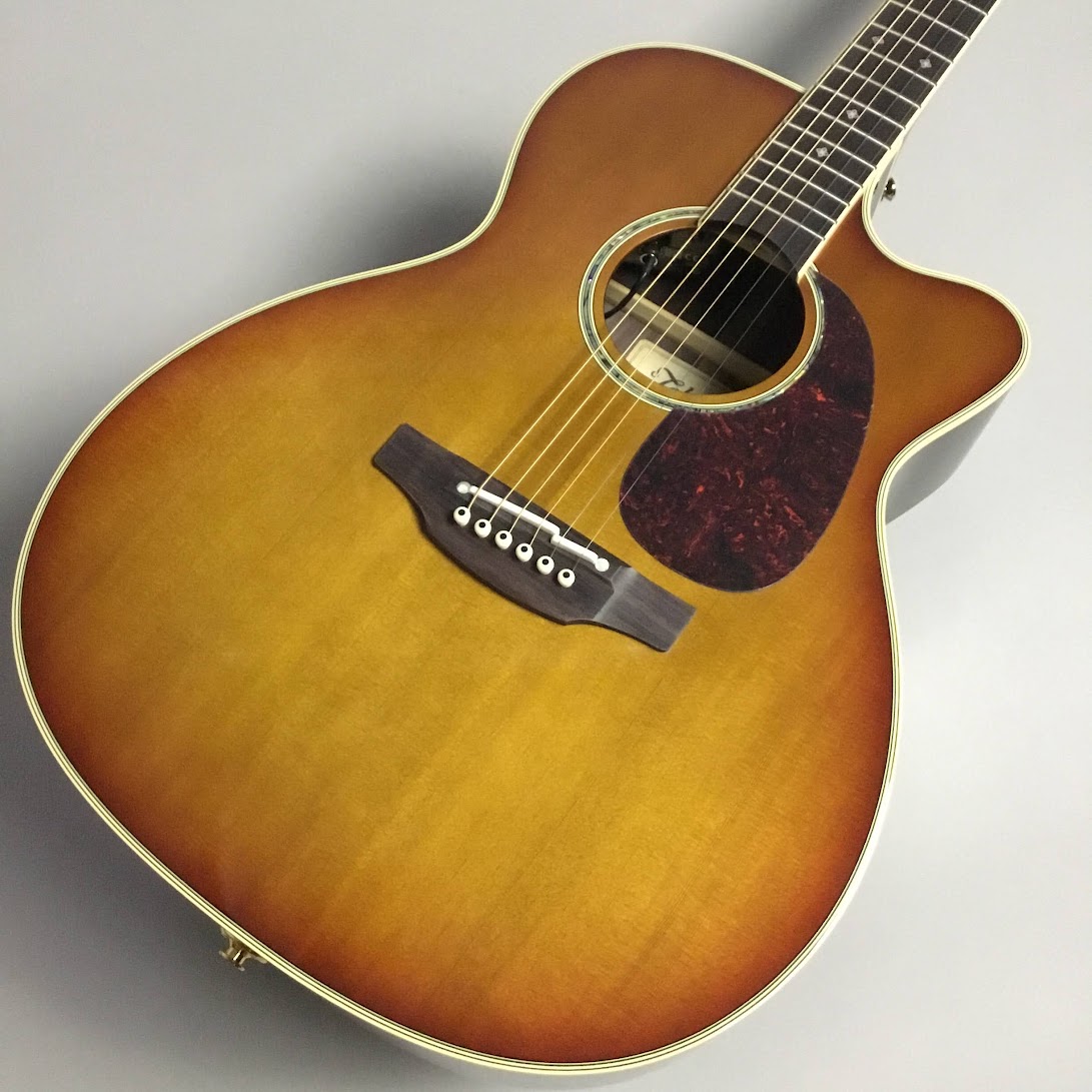 エレアコギターTakamine/DMP761C