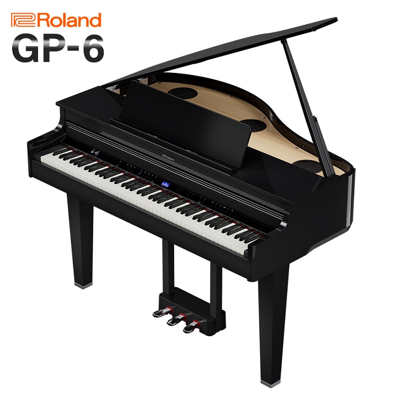 ROLANDGP-6 PES(黒鏡面仕上げ)