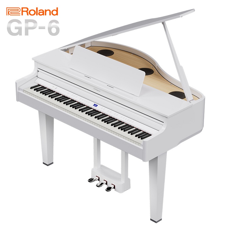 ROLANDGP-6 PWS (白鏡面仕上げ)