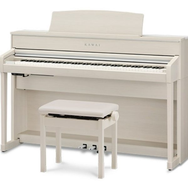 CA701<br />
¥335,500(税込)