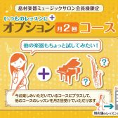 【大人のための音楽教室】サロン会員様限定！オプション月2回コース♪マークイズ葛飾かなまち店