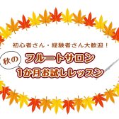 「続けられるか」を試せる 1か月お試しフルートレッスン|金町のらくらくフルート教室