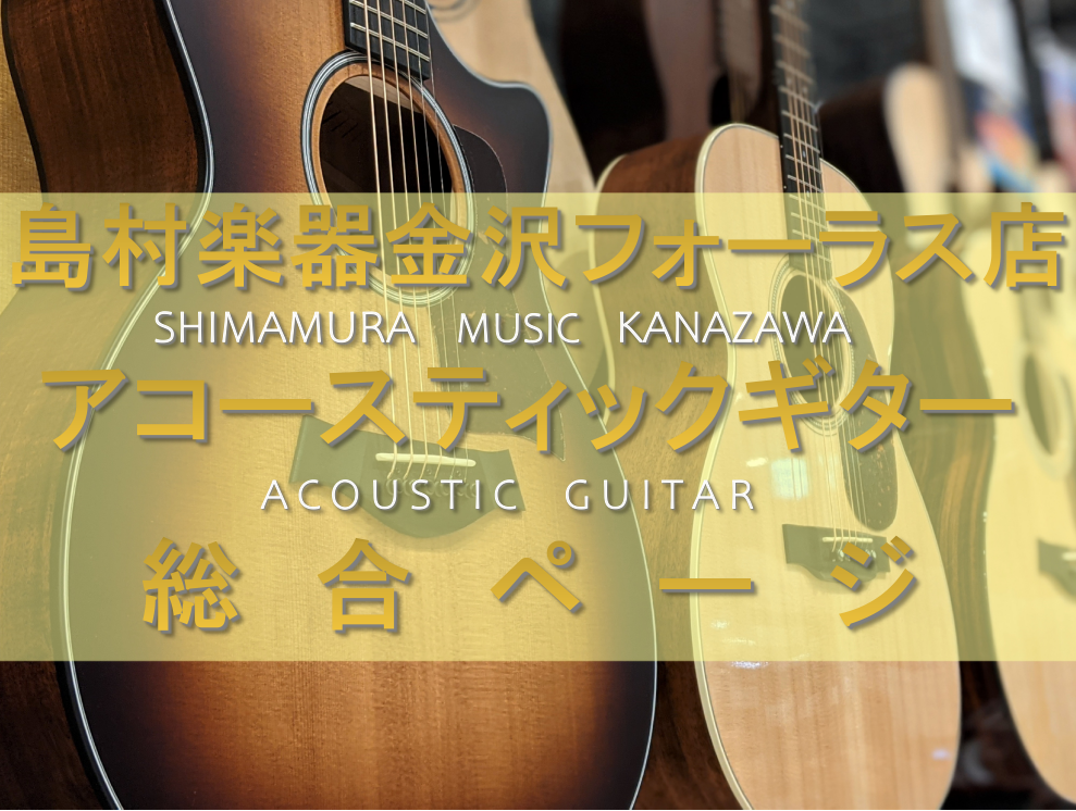 アコースティックギター総合ページ | 島村楽器 金沢フォーラス店 【2024/02/20更新】