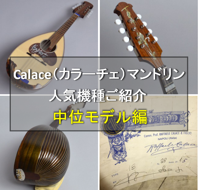 【マンドリンフェア】Calace（カラーチェ）マンドリン人気機種ご紹介　中位モデル編