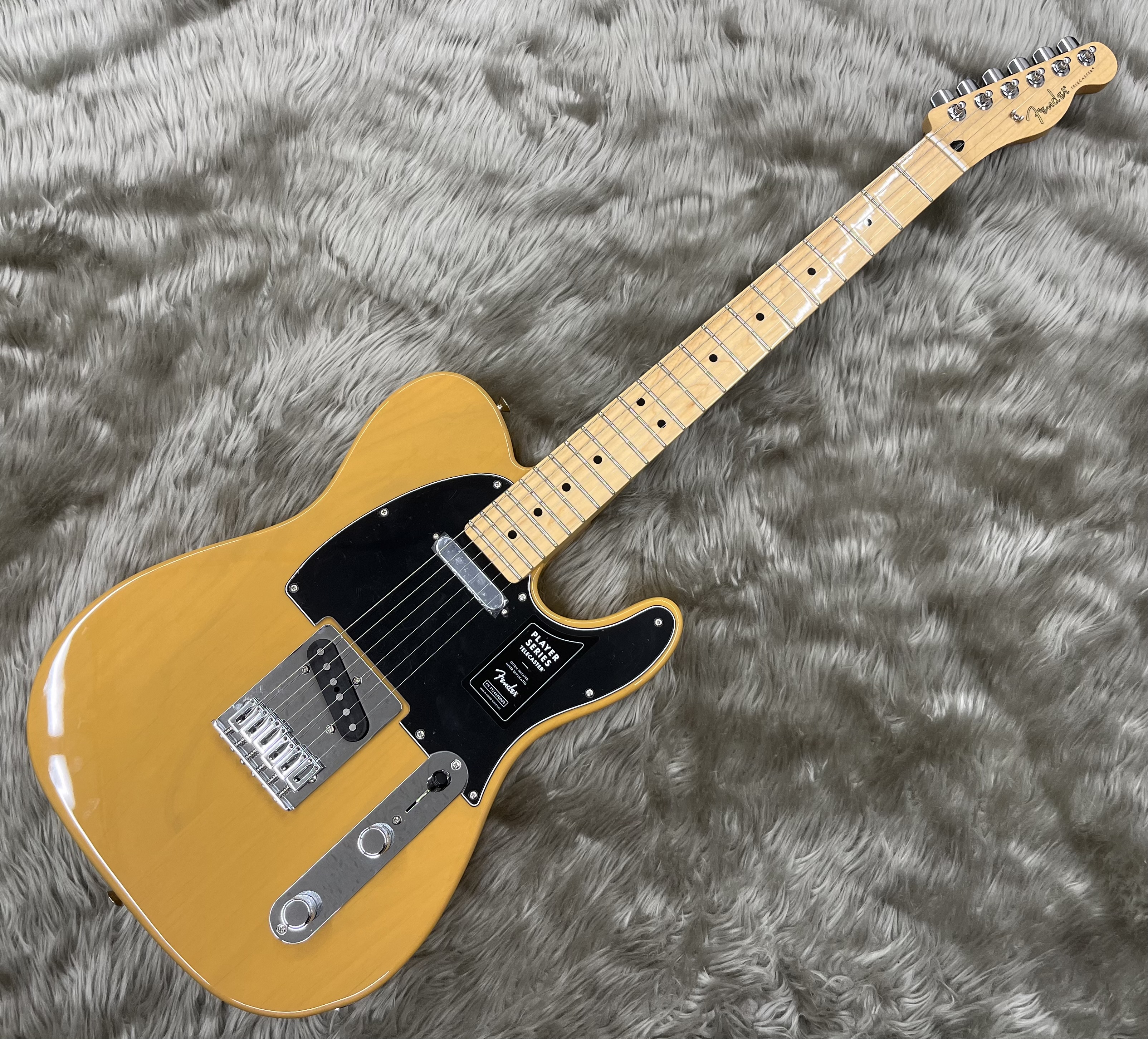 エレキギターPLAYER TELE MN