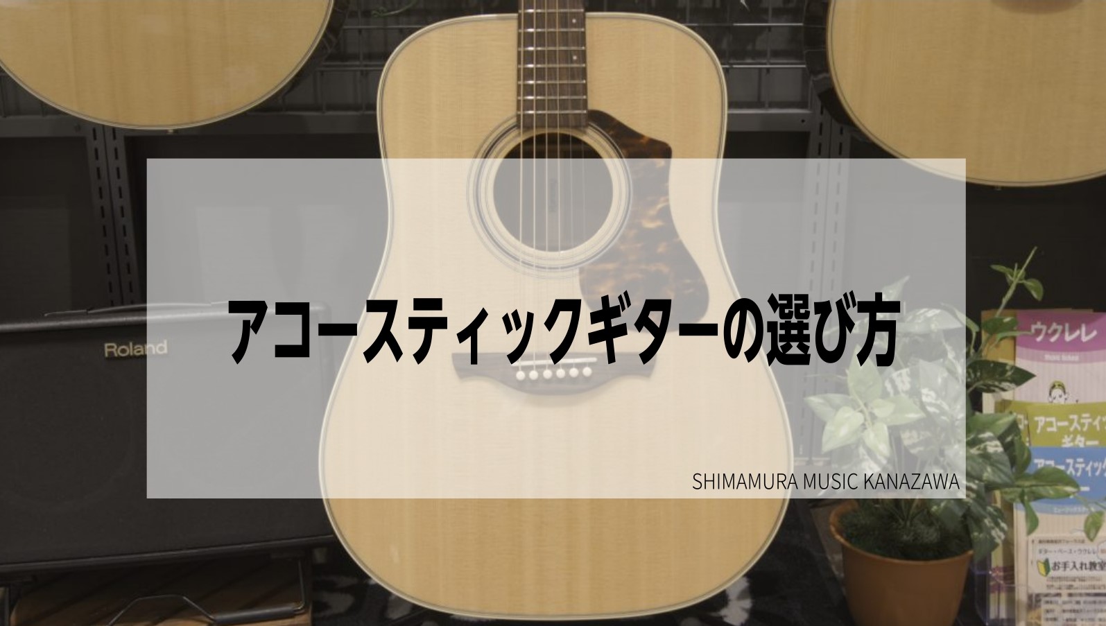 アコースティックギターってどうやって選ぶの？【アコギの選び方】｜島村楽器 金沢フォーラス店
