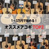 1～3万円で始める！オススメアコギTOP3