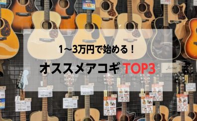 1～3万円で始める！オススメアコギTOP3