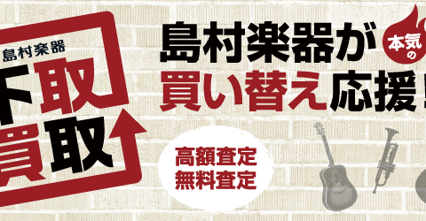イオン葛西店 店舗情報 島村楽器