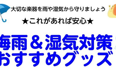 【湿度対策】梅雨入り本番！大切なギター・ベースを守るおすすめグッズのご紹介