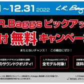 【アコースティックギター / ウクレレ】L.R.Baggsピックアップ無料取付キャンペーン開催中！！【2022年12月31日まで】