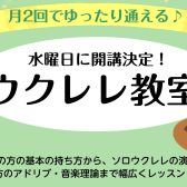 【月2回のウクレレレッスン】水曜日　新規開講