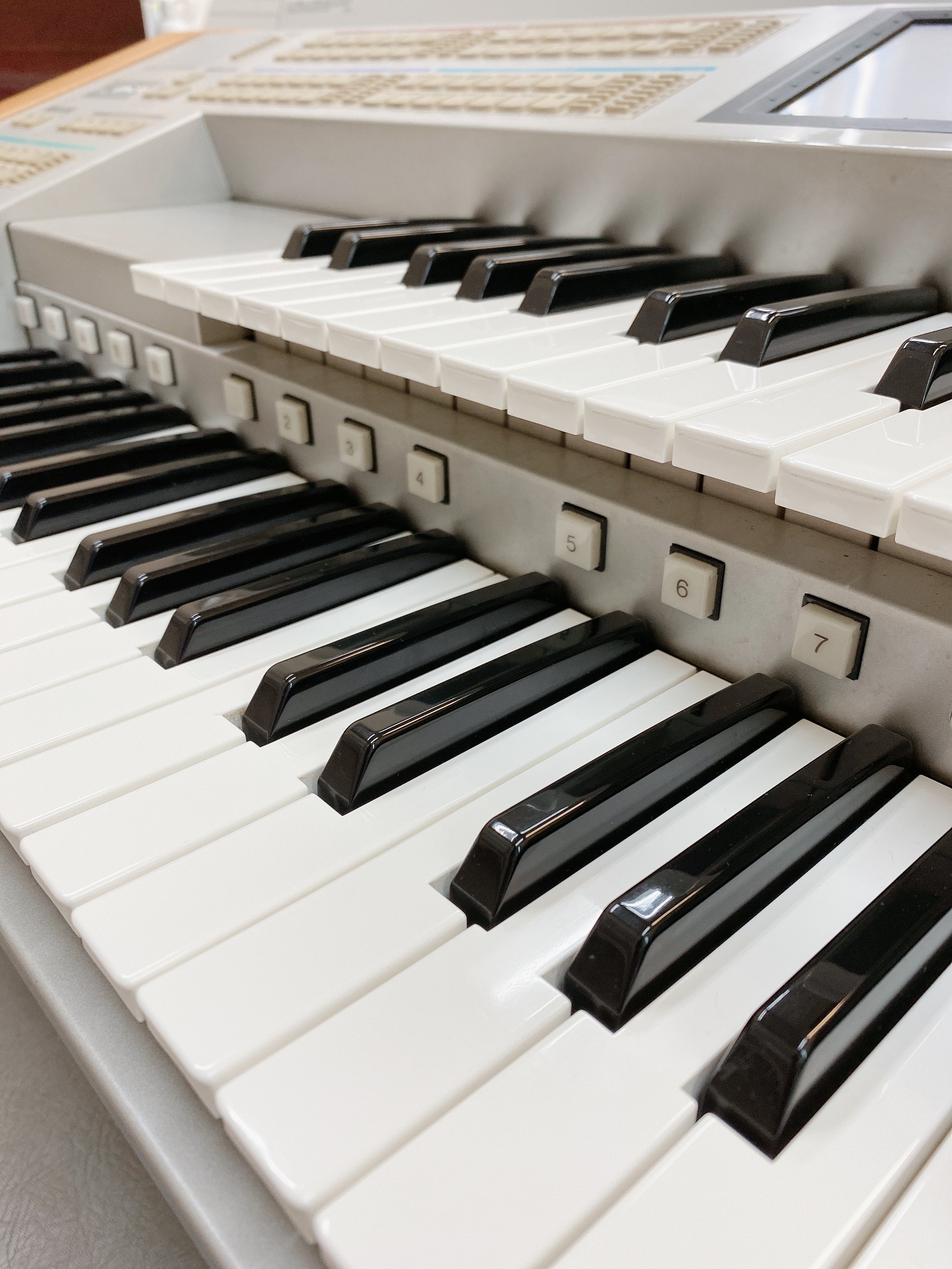 CONTENTS楽しく学べる電子オルガン教室！おすすめポイント！レッスンではどんなことをするの？エレクトーンでよく演奏される人気曲エレクトーンレッスンのよくある質問レッスンシステム・詳細体験レッスンお申し込み・お問い合わせはこちら楽しく学べる電子オルガン教室！ 「時間の余裕ができたので、何か習ってみ [&hellip;]