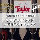 【マーチン、ギブソン、テイラー】アコースティック3大メーカー揃ってます!!【2024版】島村楽器イオンモール橿原店