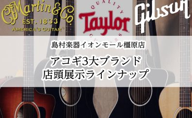 【マーチン、ギブソン、テイラー】アコースティック3大メーカー揃ってます!!【2024版】島村楽器イオンモール橿原店