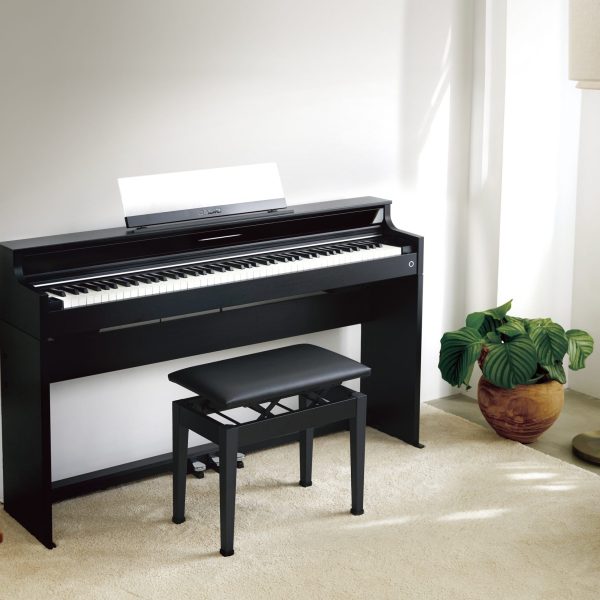CASIO　AP-A5000GP<br />
￥181,500(税込)<br />
安心保証50%OFF、クリーンクロス、鍵盤クリーナープレゼント！