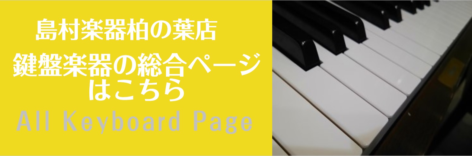 千葉　埼玉　茨城　東京　柏の葉　キーボード　ピアノ　ポータブルキーボード　プレゼント　子ども　お子様用　ららぽーと　お孫さん　室内　手軽　軽い　持ち運び　柏　流山　オススメギフト　キーボード　YAMAHA　CASIO　KORG　ヤマハ　カシオ　CT-X700