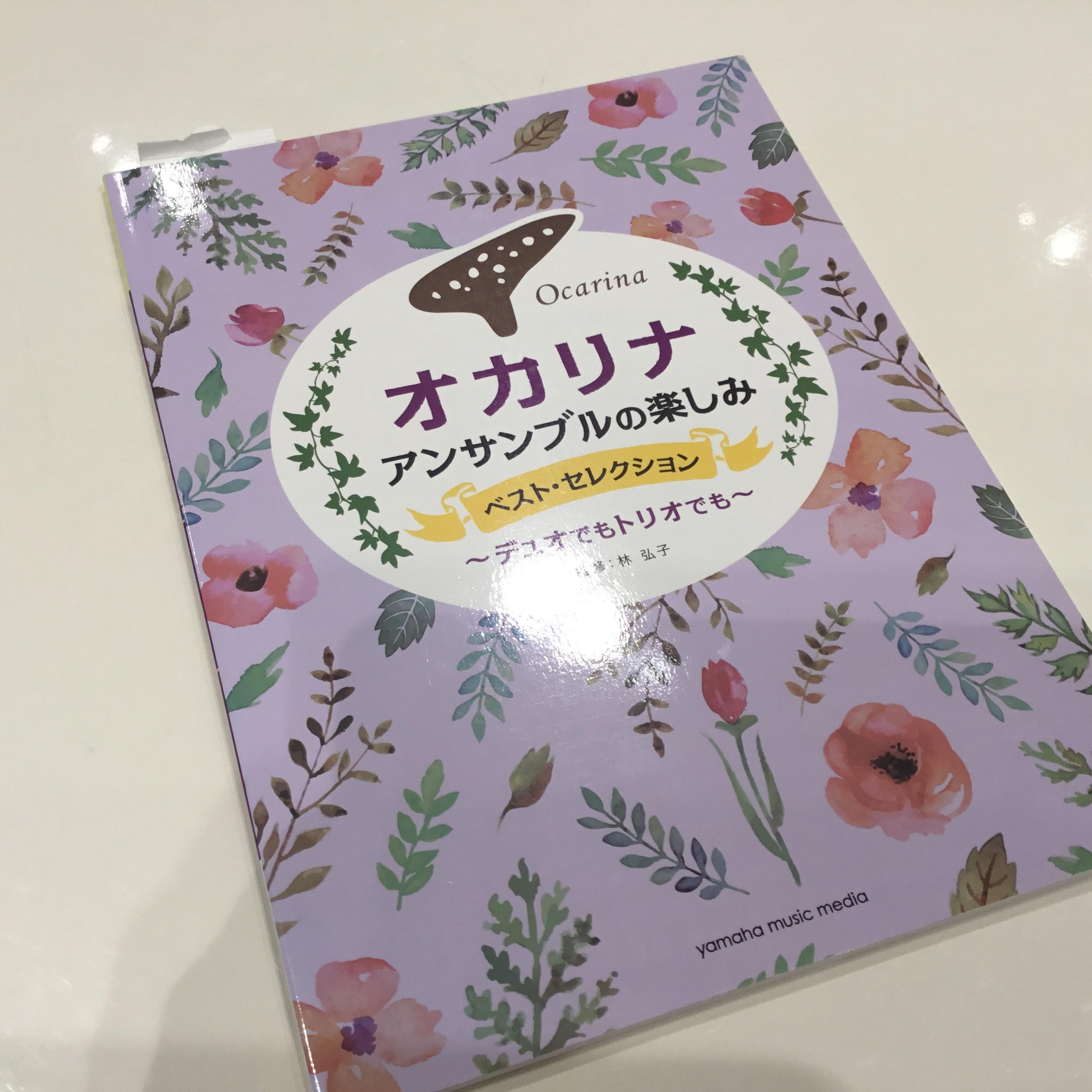 柏　オカリナ 初心者プレゼント　ギフト　オススメ　初心者　試奏　柏　柏の葉　　守谷　野田　松戸　流山　人気　アケタ　ナイト　お米オカリナ　プラスチックオカリナ　プラオカ　長峰製作所　OSAWA　フォーカリンク