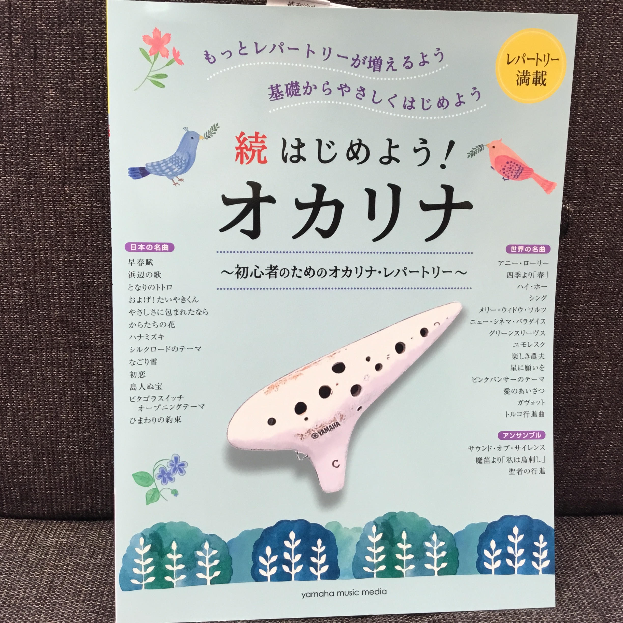 柏　オカリナ 初心者プレゼント　ギフト　オススメ　初心者　試奏　柏　柏の葉　　守谷　野田　松戸　流山　人気　アケタ　ナイト　お米オカリナ　プラスチックオカリナ　プラオカ　長峰製作所　OSAWA　フォーカリンク