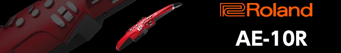島村楽器限定 AE-10R 赤い