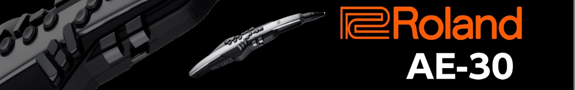 AE-30 ウインドシンセ