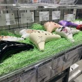 オカリナの選び方｜メーカー別おすすめポイント💡インストラクターが一緒に楽器をお選びします♪