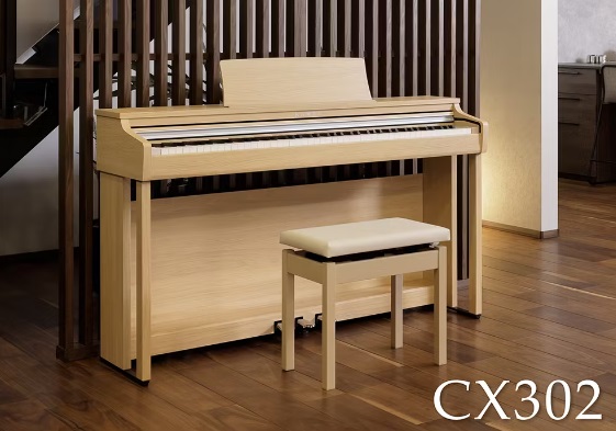 KAWAICX302