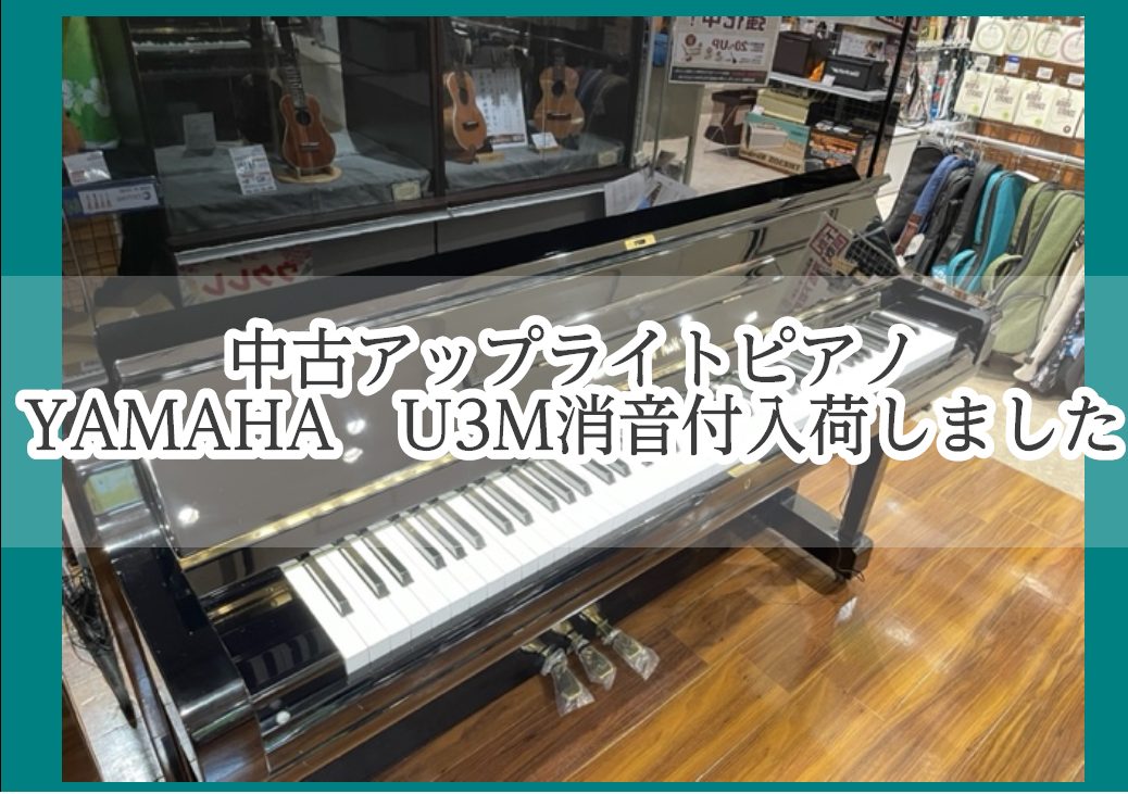 YAMAHA　中古U3M/1982年製造　当社ピアノ工房にて再調整済みです CONTENTS島村楽器の安心中古ピアノについてYAMAHA　中古U3M商品詳細ご購入特典のご案内キャンペーンのご案内アップライトピアノ・電子ピアノ下取り・買取についてお問い合わせ島村楽器の安心中古ピアノについて 島村楽器の […]