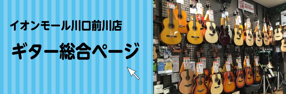 【ギター総合案内】～ギターの事ならイオンモール川口前川店へ！～
