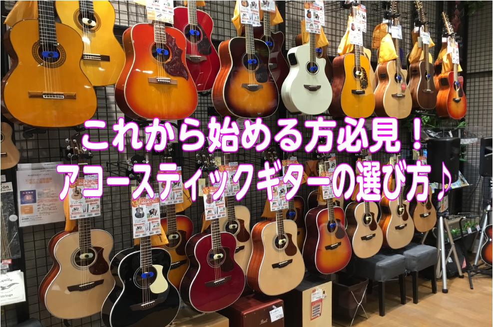 【アコースティックギター】これから始める方必見！アコースティックギターの選び方♪