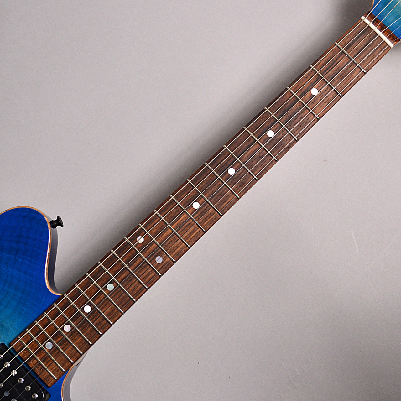 純国産ギター】信州発！Black Cloud・Sugi・T'S Guiterが川崎
