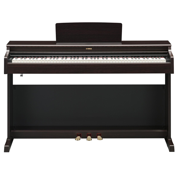 YDP-165