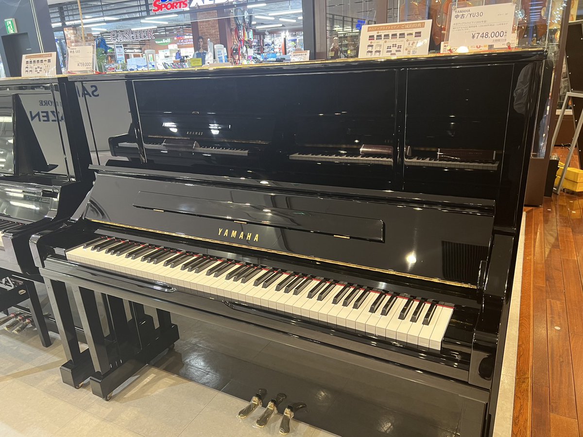 YAMAHAYU30