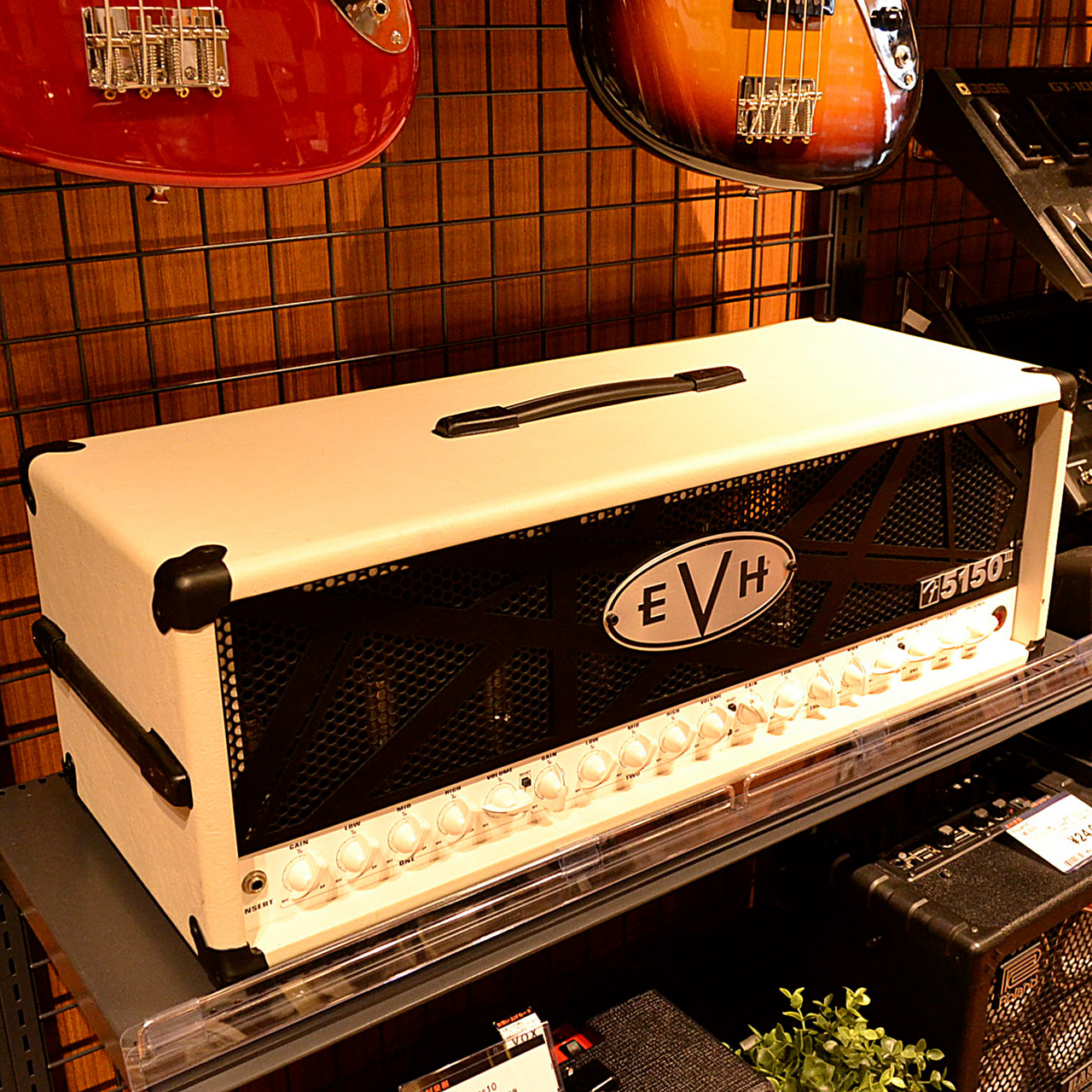 【USED】EVH 5150III IVORY入荷しました！