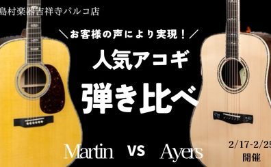 Martin vs Ayers弾き比べフェア開催！