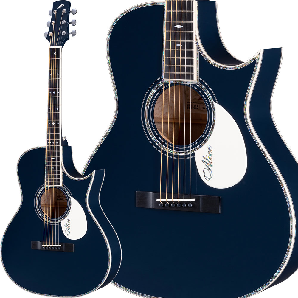 アコースティックギターMorris STH1971 MWC-RNV